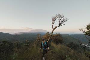 BIB: 
                            <button type="button" onclick="openModal(16050279)" class="btn btn-primary btn-sm float-right btn-popup" data-toggle="modal" data-target=".modal-high-quality">
                        <i class="fas fa-shopping-cart"></i> Add to Cart
                    </button>
                                            <button type="button" onclick="isThisMe(16050279, true)" class="btn btn-success btn-sm float-right btn-popup btn-isme hidden" data-toggle="tooltip" data-placement="bottom" title="นี่คือรูปของคุณใช่ไหม คลิกที่นี่เพื่อเอาเข้าอัลบั้ม">
                        <i class="fas fa-plus"></i> Add to album
                    </button>
                    <button type="button" onclick="isThisMe(16050279, false)" class="btn btn-warning btn-sm float-right btn-popup btn-isnotme hidden">
                        <i class="fas fa-ban"></i> Remove from album
                    </button>